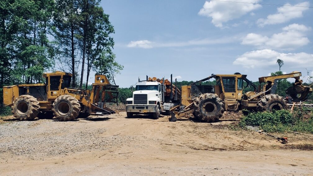 Quality Logging service in Mountain View Arkansas